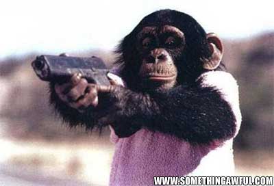 The monkey still has a gun!
